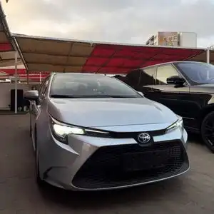 TOYOTA LEVIN HYBRID 2020